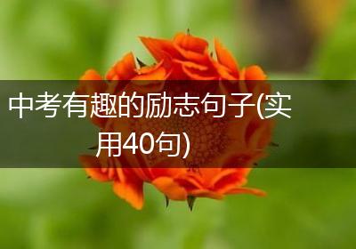 中考有趣的励志句子(实用40句)