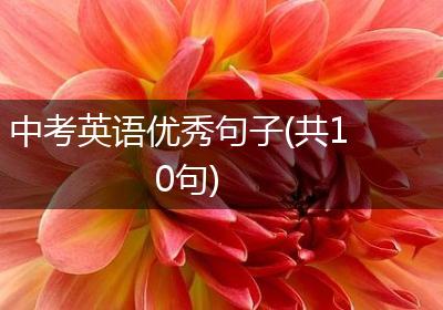 中考英语优秀句子(共10句)
