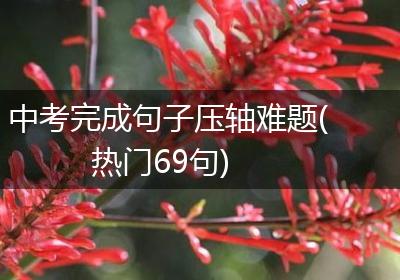 中考完成句子压轴难题(热门69句)