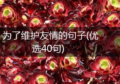 为了维护友情的句子(优选40句)