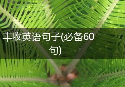 丰收英语句子(必备60句)