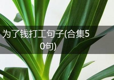 为了钱打工句子(合集50句)