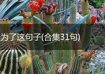 为了这句子(合集31句)