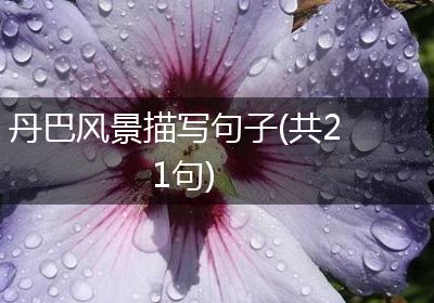 丹巴风景描写句子(共21句)