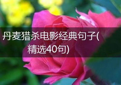 丹麦猎杀电影经典句子(精选40句)