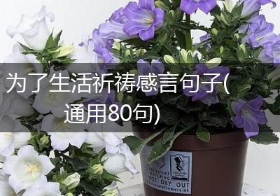 为了生活祈祷感言句子(通用80句)