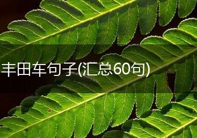 丰田车句子(汇总60句)