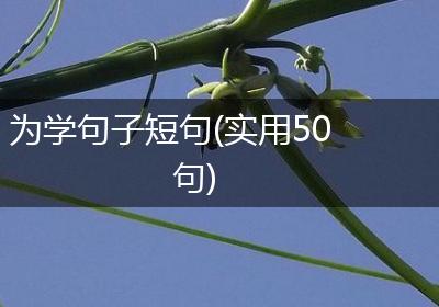 为学句子短句(实用50句)