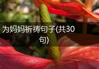 为妈妈祈祷句子(共30句)