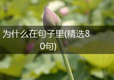 为什么在句子里(精选80句)
