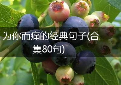 为你而痛的经典句子(合集80句)