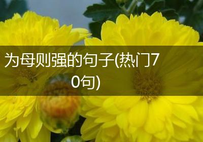 为母则强的句子(热门70句)