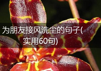 为朋友接风洗尘的句子(实用60句)