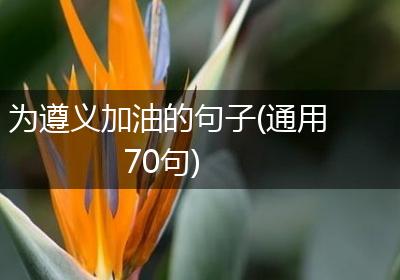 为遵义加油的句子(通用70句)