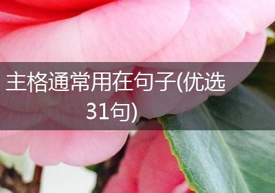 主格通常用在句子(优选31句)