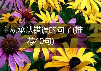 主动承认错误的句子(推荐40句)