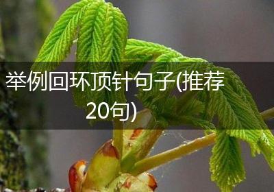 举例回环顶针句子(推荐20句)