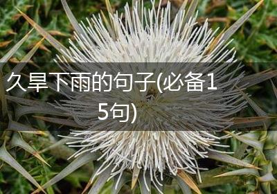 久旱下雨的句子(必备15句)