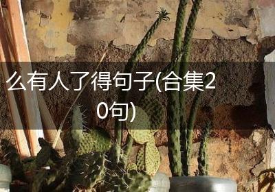 么有人了得句子(合集20句)