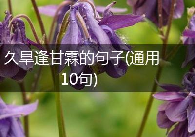 久旱逢甘霖的句子(通用10句)