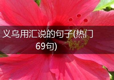 义乌用汇说的句子(热门69句)