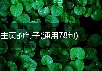主页的句子(通用78句)