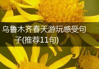 乌鲁木齐春天游玩感受句子(推荐11句)