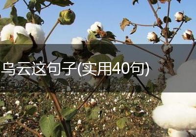 乌云这句子(实用40句)