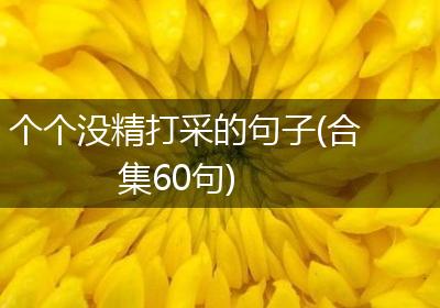 个个没精打采的句子(合集60句)