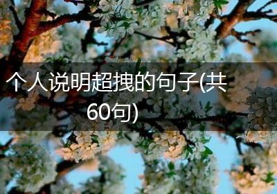 个人说明超拽的句子(共60句)