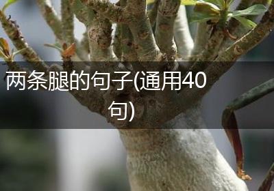 两条腿的句子(通用40句)
