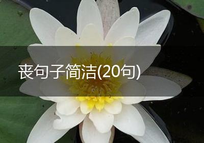 丧句子简洁(20句)