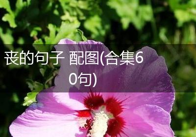 丧的句子 配图(合集60句)