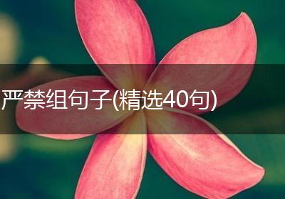 严禁组句子(精选40句)