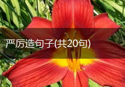 严厉造句子(共20句)