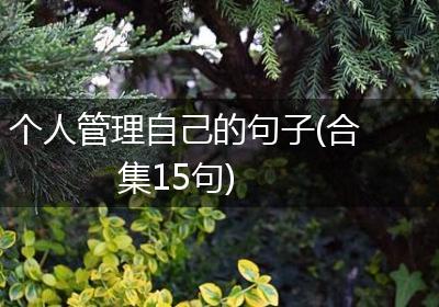 个人管理自己的句子(合集15句)