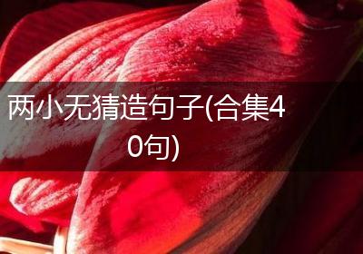 两小无猜造句子(合集40句)