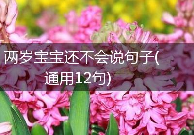 两岁宝宝还不会说句子(通用12句)