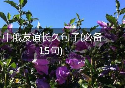 中俄友谊长久句子(必备15句)