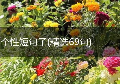 个性短句子(精选69句)