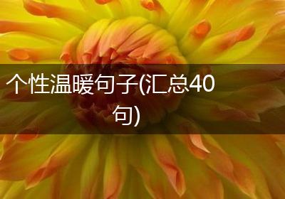 个性温暖句子(汇总40句)