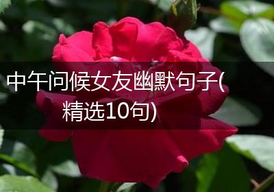 中午问候女友幽默句子(精选10句)