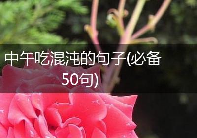 中午吃混沌的句子(必备50句)