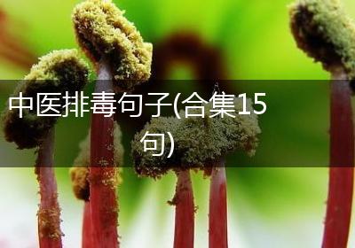 中医排毒句子(合集15句)