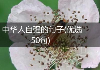 中华人自强的句子(优选50句)