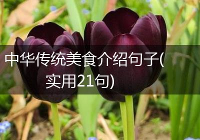 中华传统美食介绍句子(实用21句)