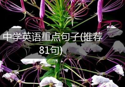 中学英语重点句子(推荐81句)