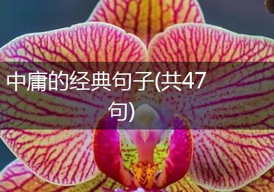 中庸的经典句子(共47句)