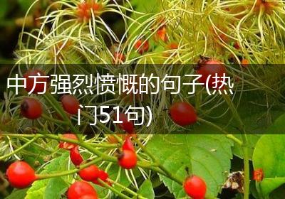 中方强烈愤慨的句子(热门51句)