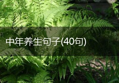 中年养生句子(40句)